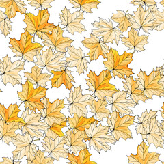 Autumn seamless pattern with yellow maple leaves on white background. For wallpaper, textile, gift paper, banner, poster, flyer, autumn greeting cards.Vector.