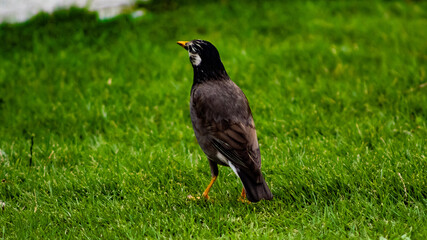 just something it took outside 