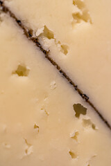 Cheese with truffles. Macro closeup. Delicious expensive cheese. High quality photo