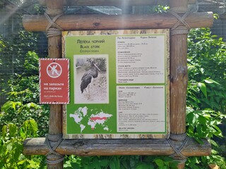 Obraz premium Information of black stork on info board in zoo