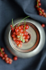 
red currant branch