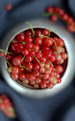 
red currants on a branch in a glass