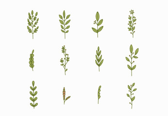 tiny simple botanical illustrations, line artwork, minimal design elements. elegant and delicate plant doodles for branding, wedding invitation, graphic design. spring floral clip art , feminine art