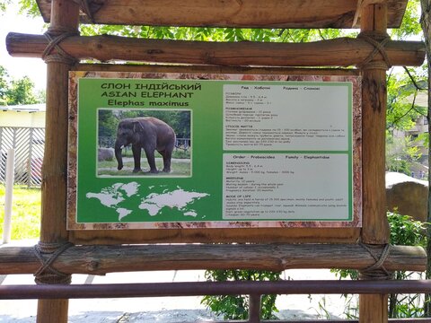Information of asian elephant on info board in city zoo