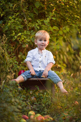 Cute little blond boy in white summer shirt and jeans playing with apples in the garden. Copy space.