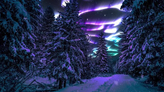 4K Northern lights Polar Aurora Borealis. Winter snowfall over a northern forest