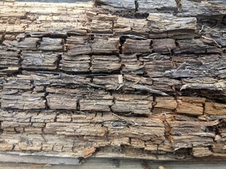 texture of old destroyed wood close-up