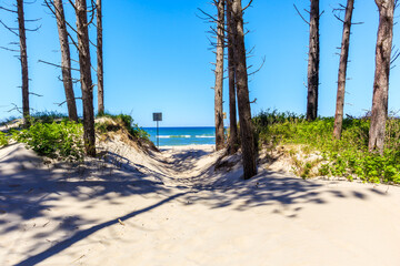 Entrance from forest to beautiful beach near Kolobrzeg, Baltic Sea coast, Poland