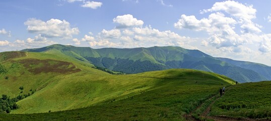 Fototapeta na wymiar Panoramic view of lush green mountain ridge in sunny day in Borzhava, Ukraine. Hikers on way through vast area of unused pastures.