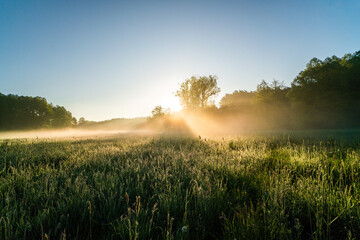 Blask wschodu we mgle © McG