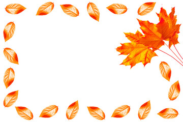 Bright colorful autumn leaves