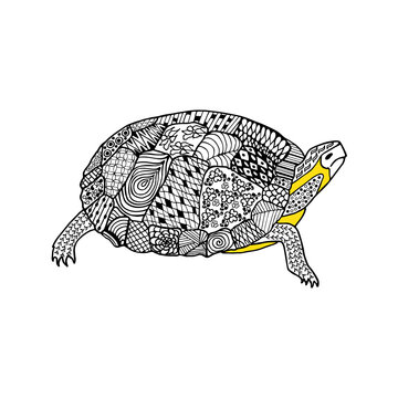 Turtle hand drawn doodle. Black and white