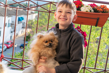 Happy Young child Boy plays with pomeranian dog at home