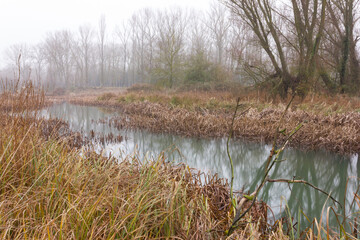 Arlazón River with fog and trees