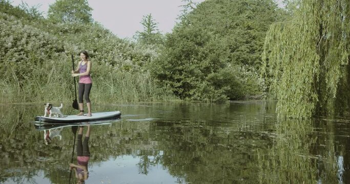 Young Adult woman together with dog on paddle board relaxation exercise on river in summer