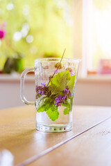 Cold refreshing water jar in summer: Tasty lemonade with herbs, multi colored