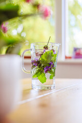 Cold refreshing water jar in summer: Tasty lemonade with herbs, multi colored