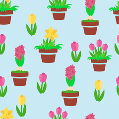 Seamless endless pattern of pink and yellow tulips, daffodils and hyacinths in ceramic pots on a blue background. Flat cartoon style illustration for textile, packaging.