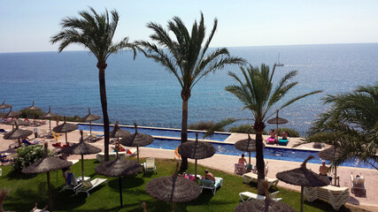 Rest in a resort on the coast of Majorca, Spain. People on sunbeds under palm trees on the seashore.