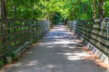 path in the park Silver Comet Trail