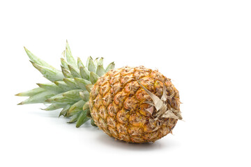 Fresh Whole Pineapple