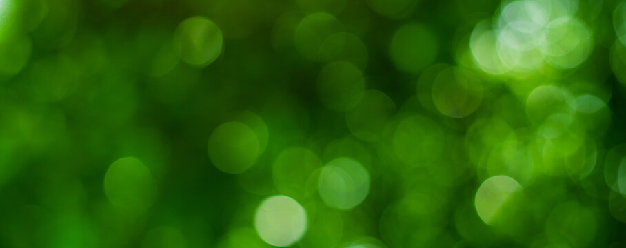 abstract circular green bokeh background, green nature spring and nature light in blurred style, copy space