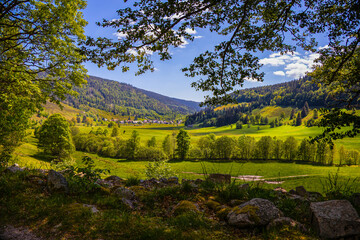 Obraz premium Menzenschwand_2543