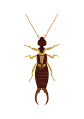 bug vector illustration