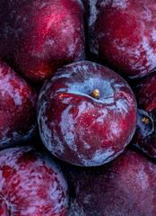 Ripe  Plum fruits Background. Fresh blue plums Macro.
