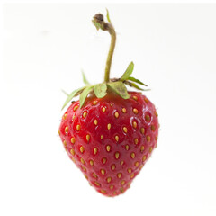 strawberries on a white background ripe red berries fresh with leaves