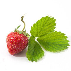 strawberries on a white background ripe red berries fresh with leaves
