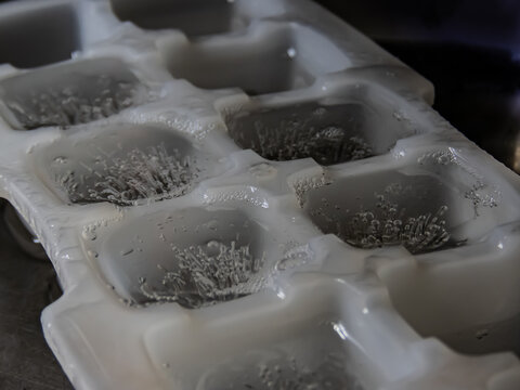 An Ice Tray Filled Up With Ice Cubes.