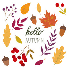 Obraz premium Autumn set. Vector autumn illustration. Autumn mood. Simple cartoon flat style. Every illustration is isolated. 