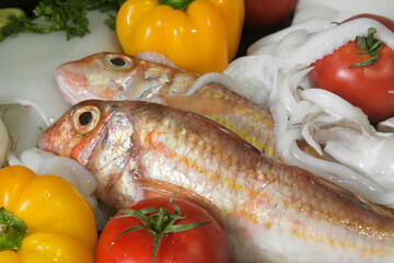 Atlantic fish and cuttlefish on a tray
