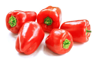 New Harvest Vegetables