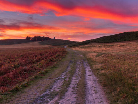 Sunset At Bradgate Park