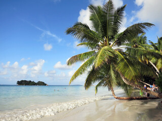 Wonderful view with palm tree on the beach on tropical paradise island.
