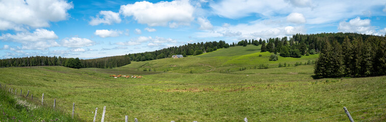 vue panoramique d'un paysage d'auvergne