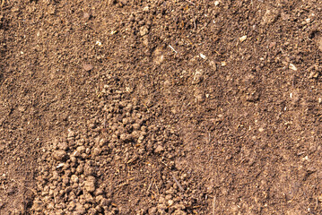 Fertile soil - field ground mixed with peat