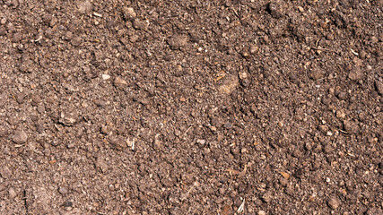 Fertile soil - field ground mixed with peat