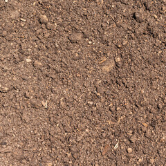 Fertile soil - field ground mixed with peat