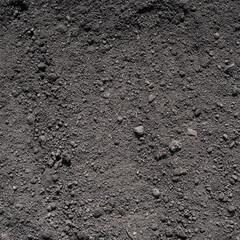 Black soil, chernozem - the most fertile soil for planting