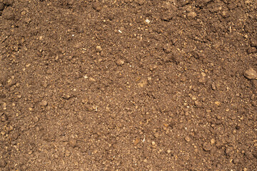 Fertile soil - field ground mixed with peat