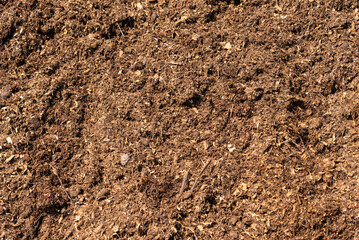 Natural eco-friendly fertilizer for the soil - horse manure.