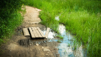 Obraz premium Summer rural landscape - path near the swamp, wooden boards laid through the water