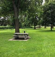 Empty park table during COVID