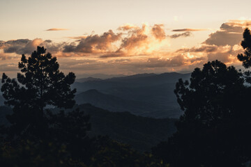 Mountains and green trees during the day
