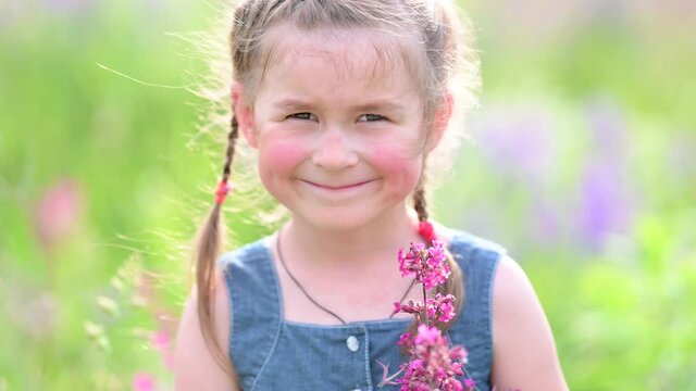 Beautiful little girl picks flowers in the field on a sunny summer day. Happy child outdoors.