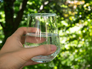 Human hand holding a glass of mineral water on the background of green forest.