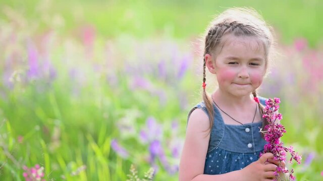 Beautiful little girl picks flowers in the field on a sunny summer day. Happy child outdoors.